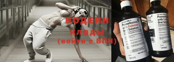 прущие грибы Вязьма