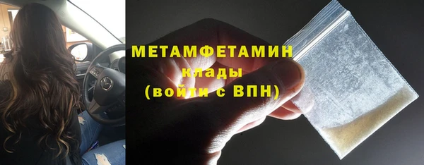 прущие грибы Вязьма