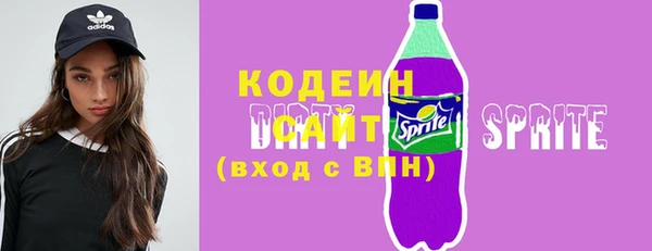 прущие грибы Вязьма