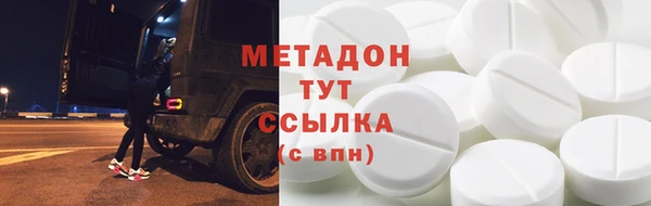 прущие грибы Ладушкин