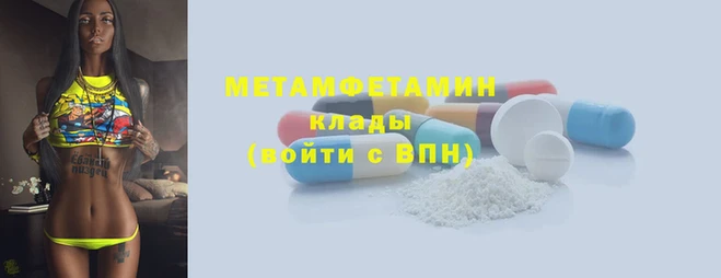 прущие грибы Вязьма
