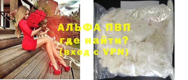 прущие грибы Вязьма