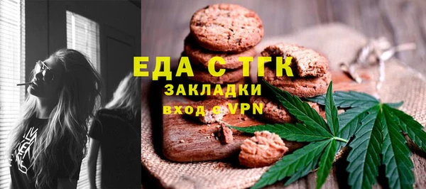прущие грибы Вязьма