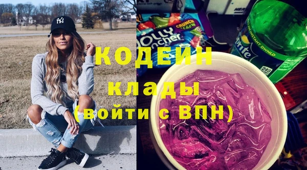 прущие грибы Вязьма