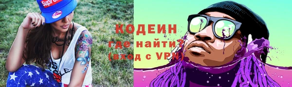 прущие грибы Вязьма