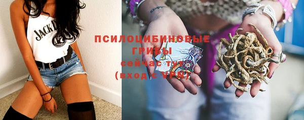 a pvp Вяземский