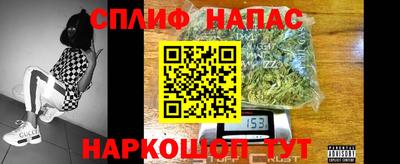 дмт Гатчина