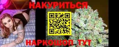 дмт Гатчина