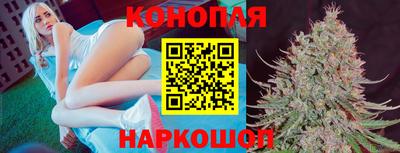 спайс Гай