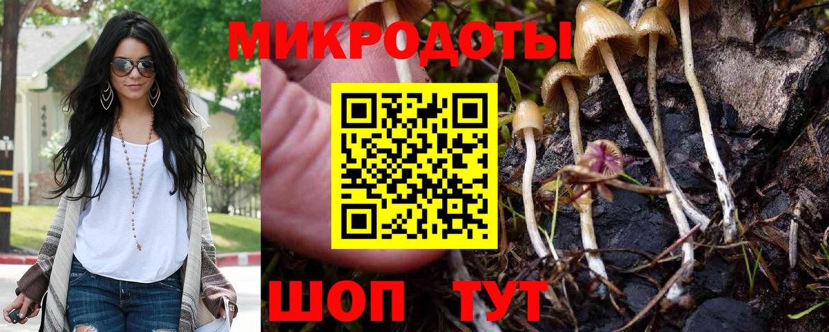Псилоцибиновые грибы MAGIC MUSHROOMS  Вход с VPN  Электросталь 